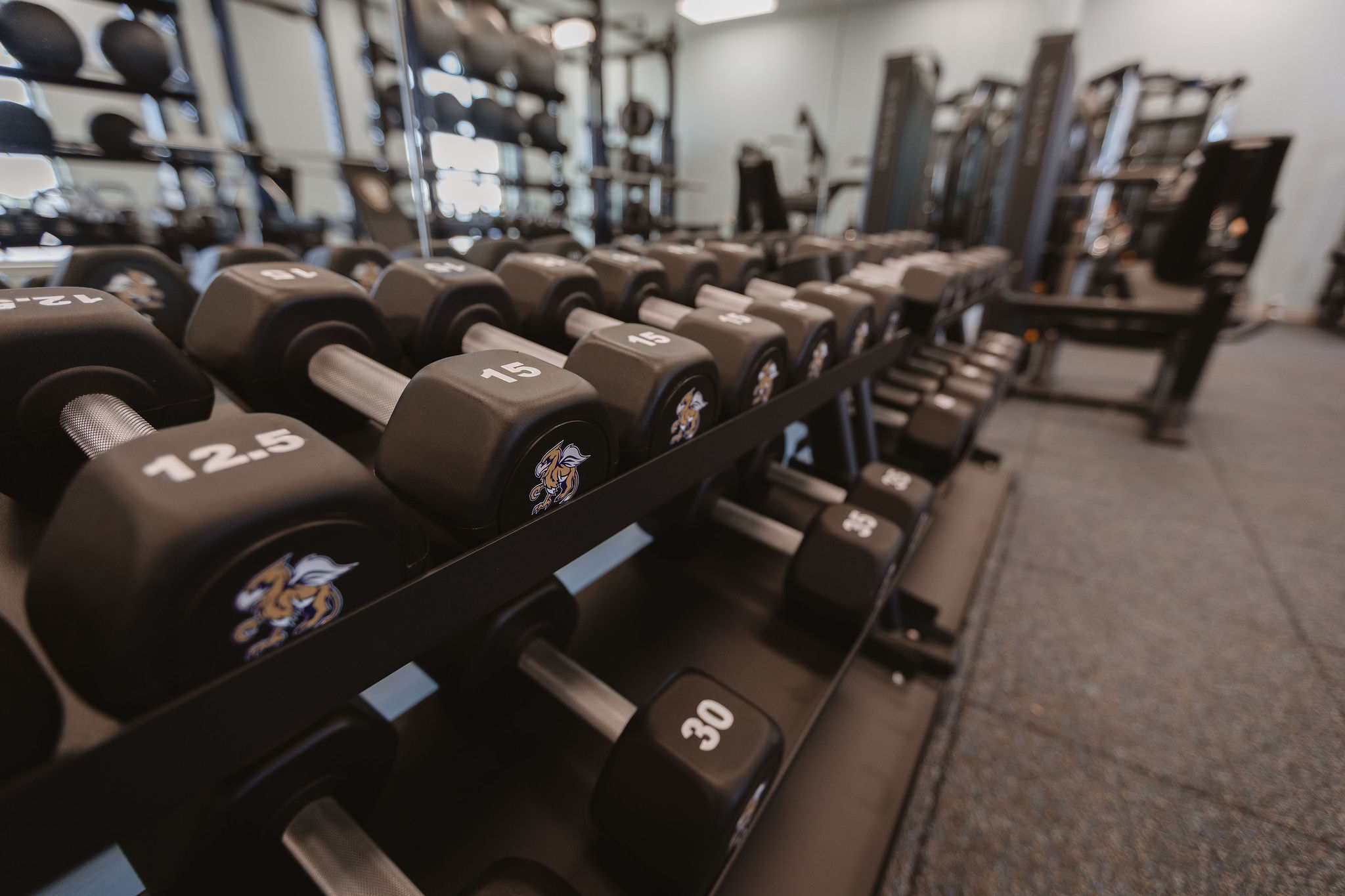 free weights