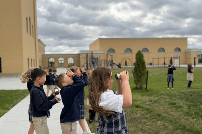 Learnings Looking at Sky 2
