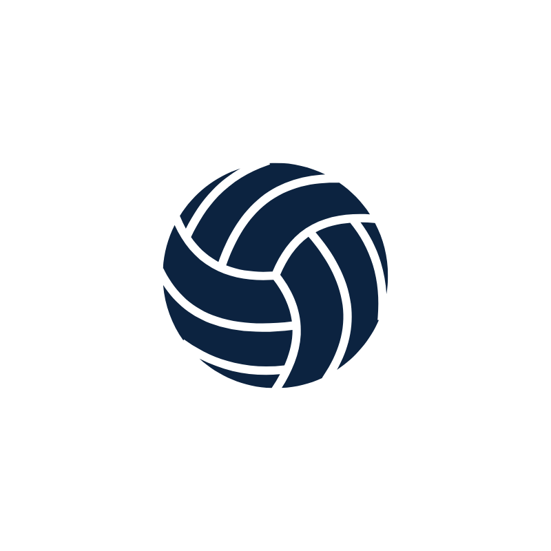 Volleyball icon small