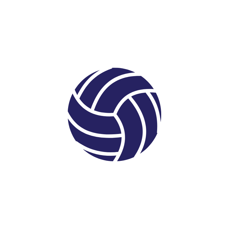 volleyball icon small blue